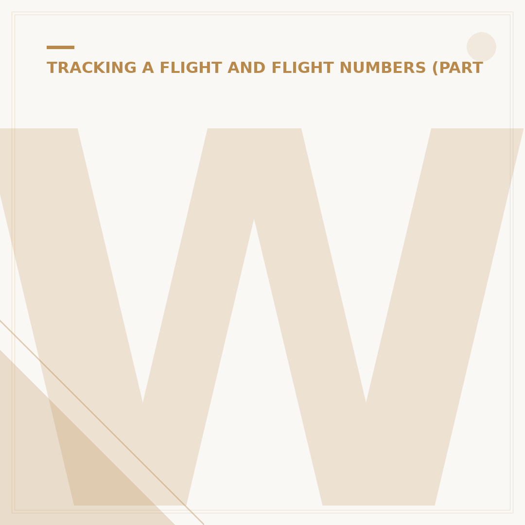 What Is a Southwest Flight Number?
