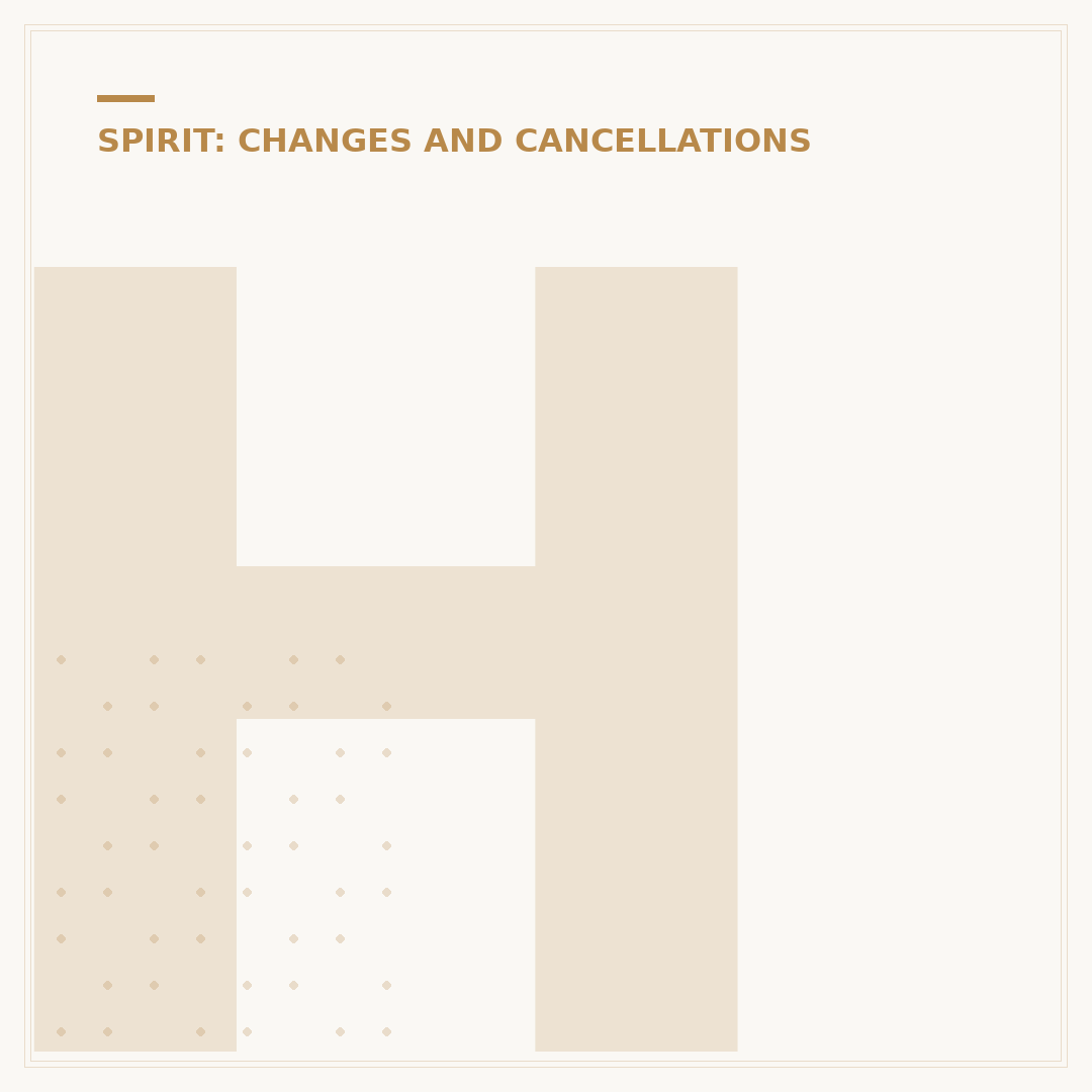 How Often Does Spirit Change Flight Times?
