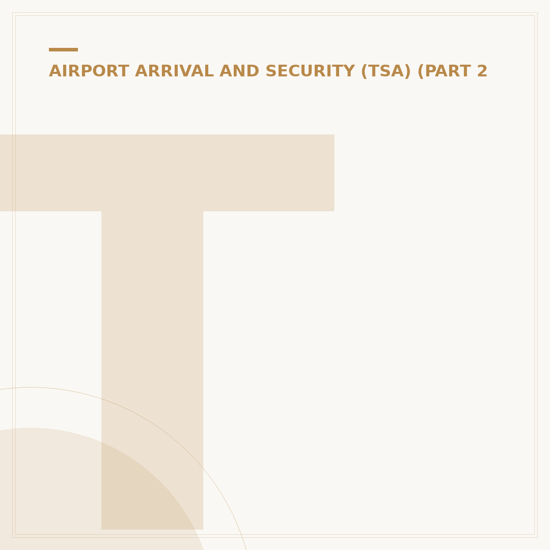 Tampa Airport: What To Do Before Your Flight