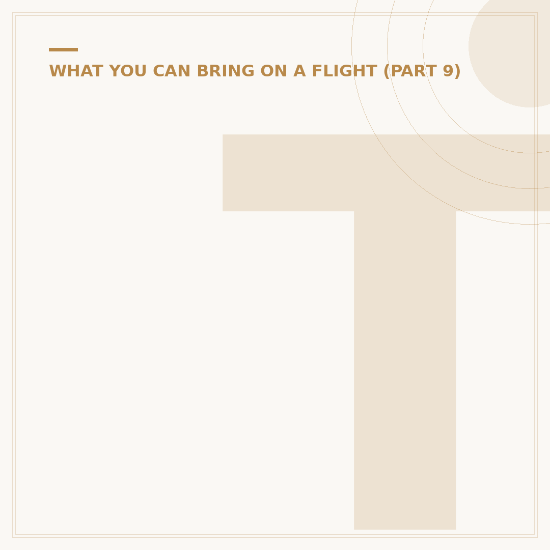 Things You Can Take on a Flight