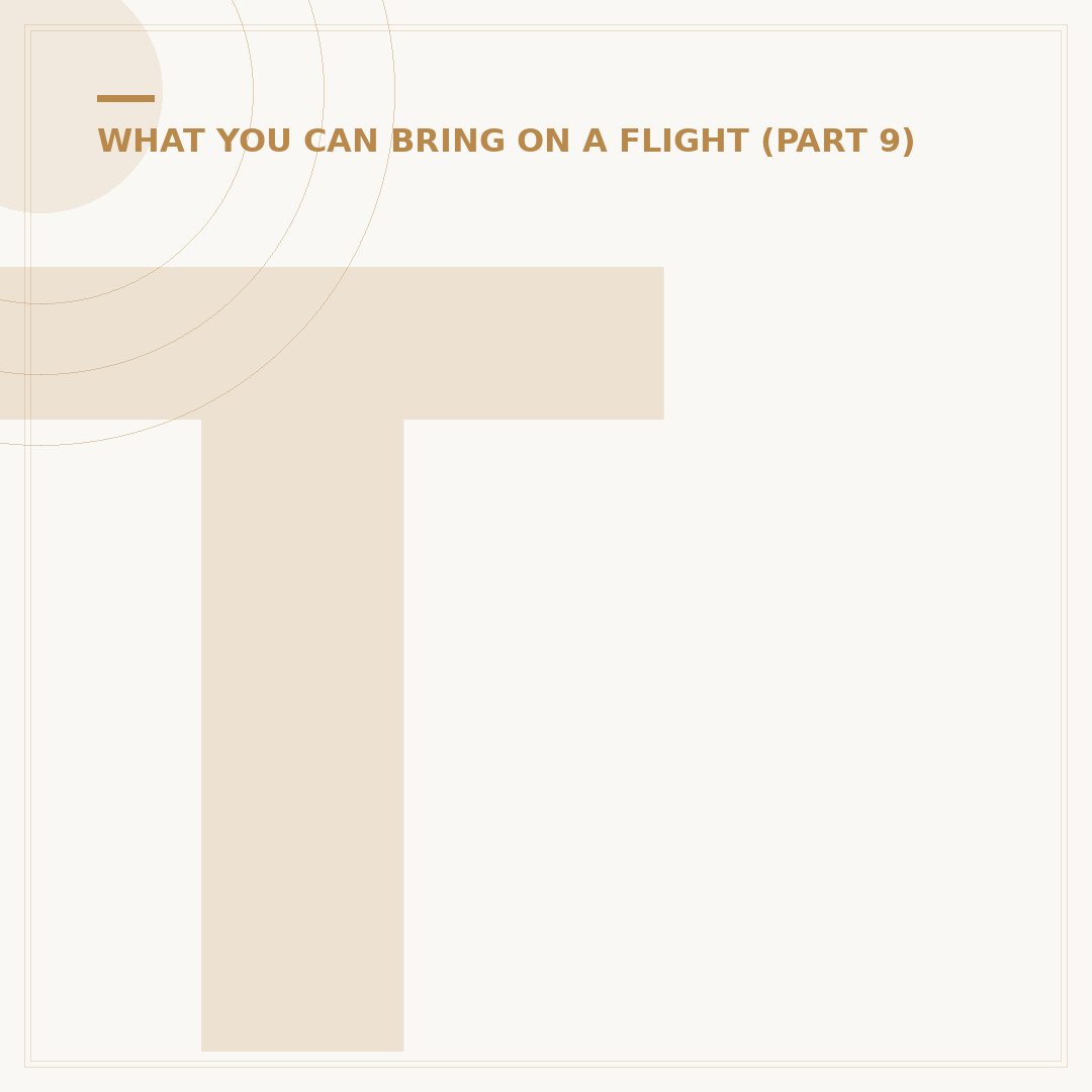 Things We Can Take in Flight