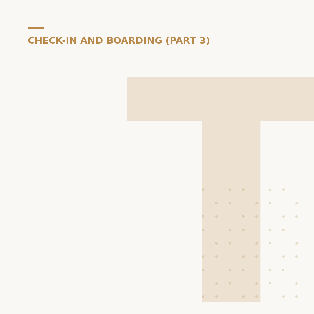 Things to Do Before Boarding a Flight
