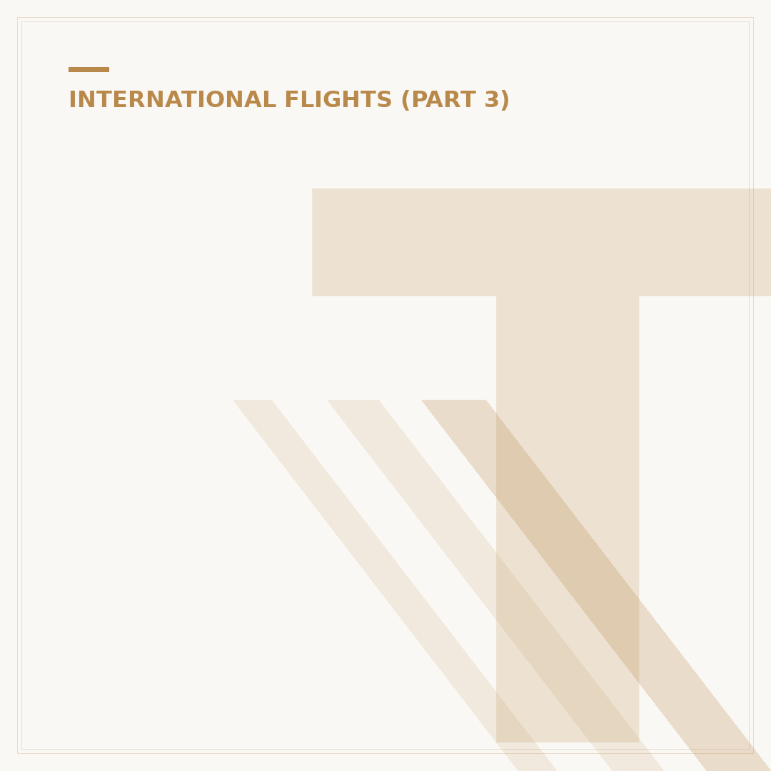 Things to Do on an International Flight