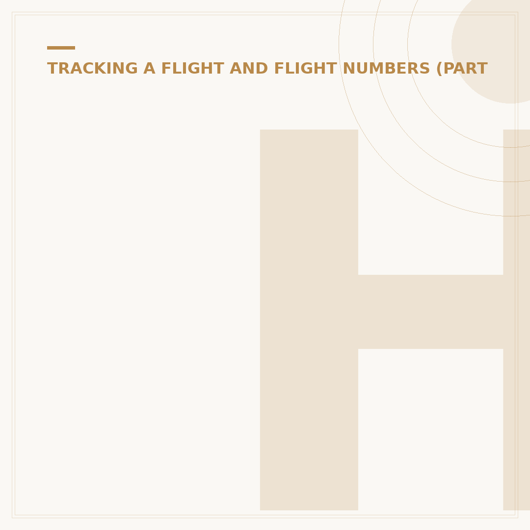 How to Track an AA Flight