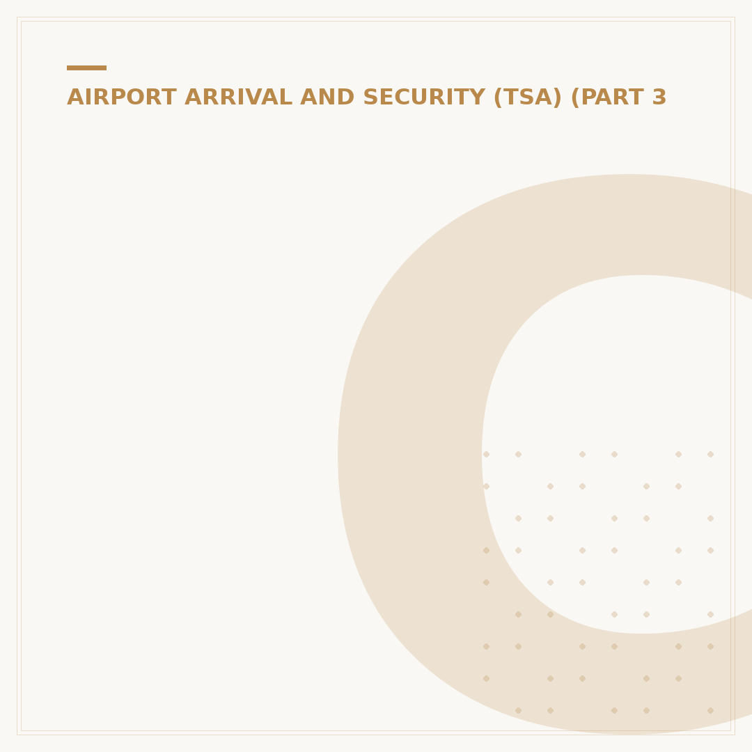 Can I Travel on a Flight Without ID Proof?