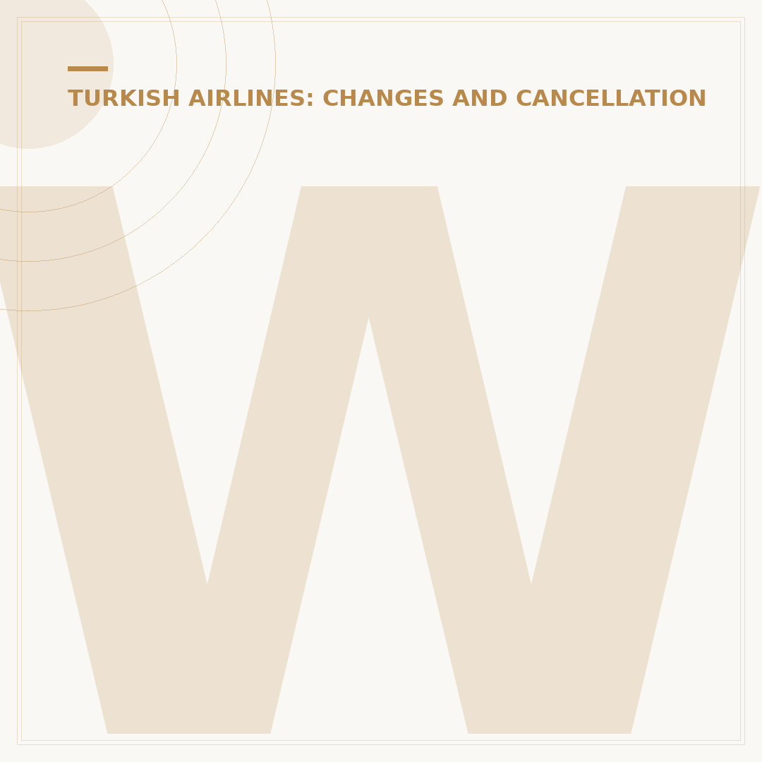 Why Did Turkish Airlines Cancel My Flight?