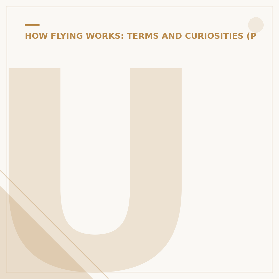 United Premier Qualifying Flights: What They Are