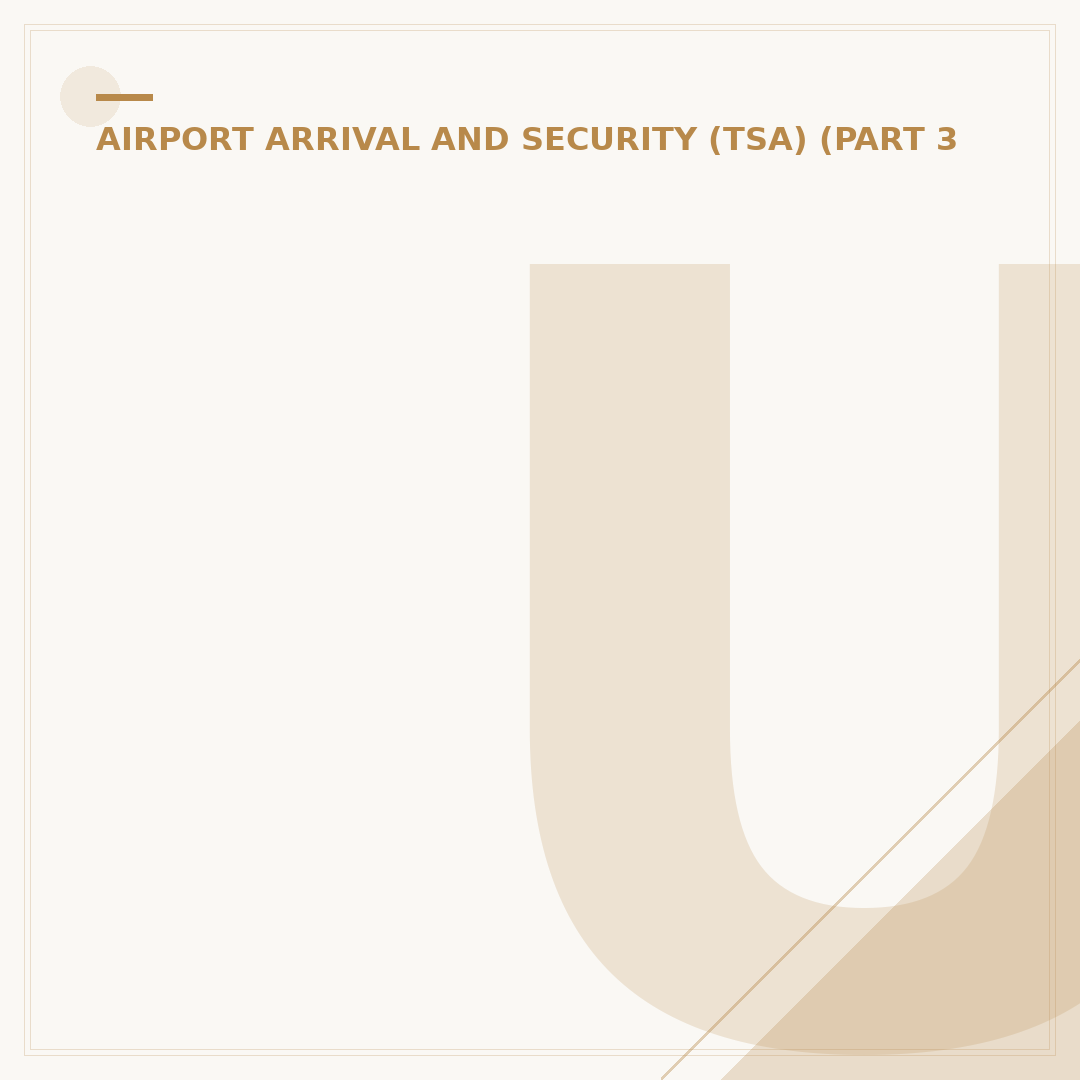 US Domestic Flight: When to Arrive at Airport