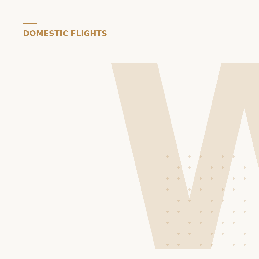 What Can We Carry on Domestic Flights?