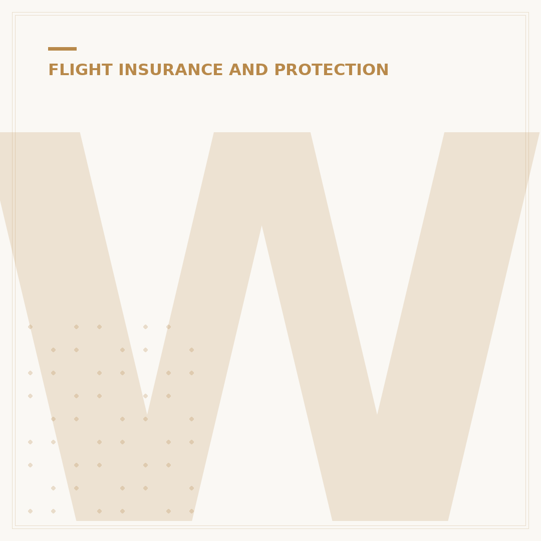 What Does Flight Protection Mean for Travelers?