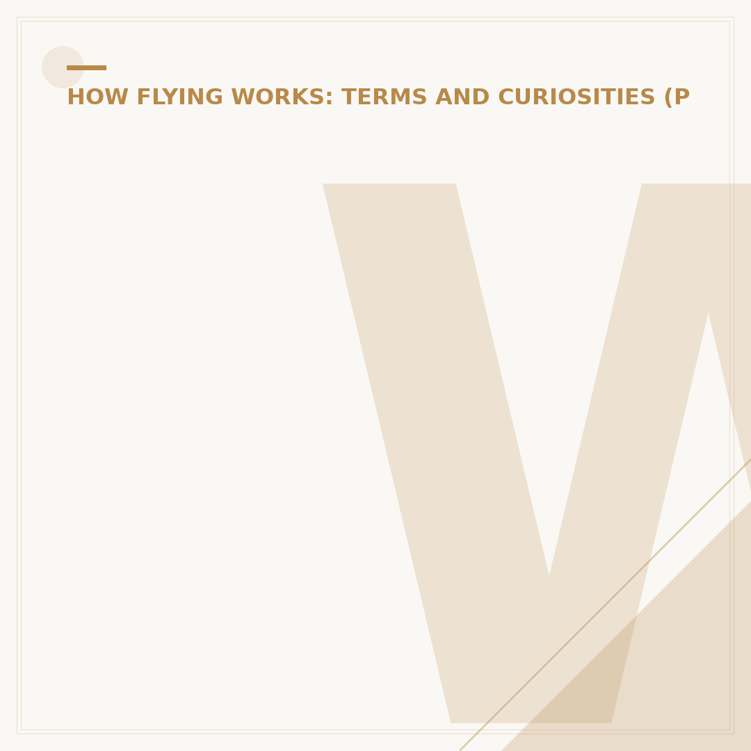 What is Cruise Flight? Understanding the Steady Phase