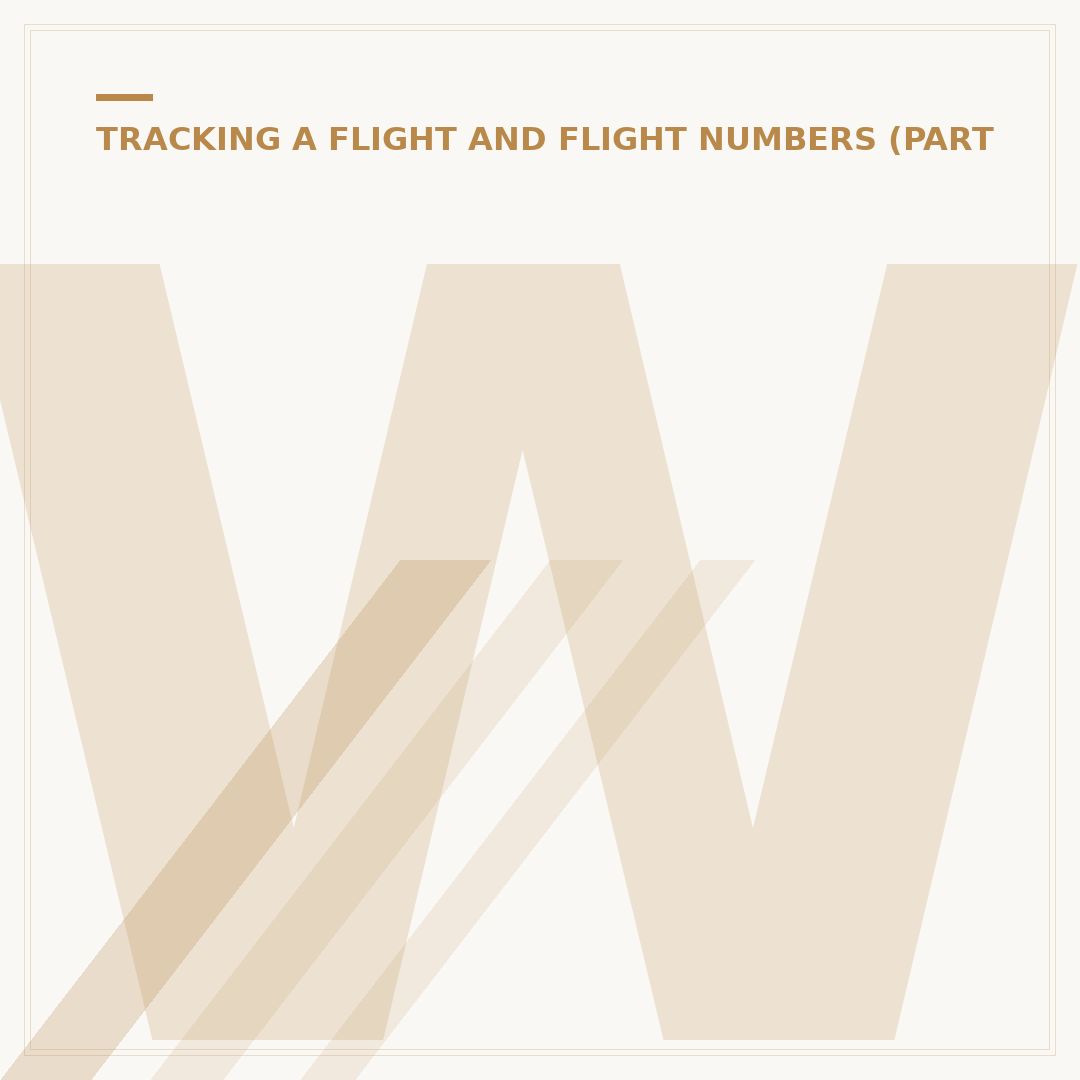 What is a Flight Number and Why It's Crucial