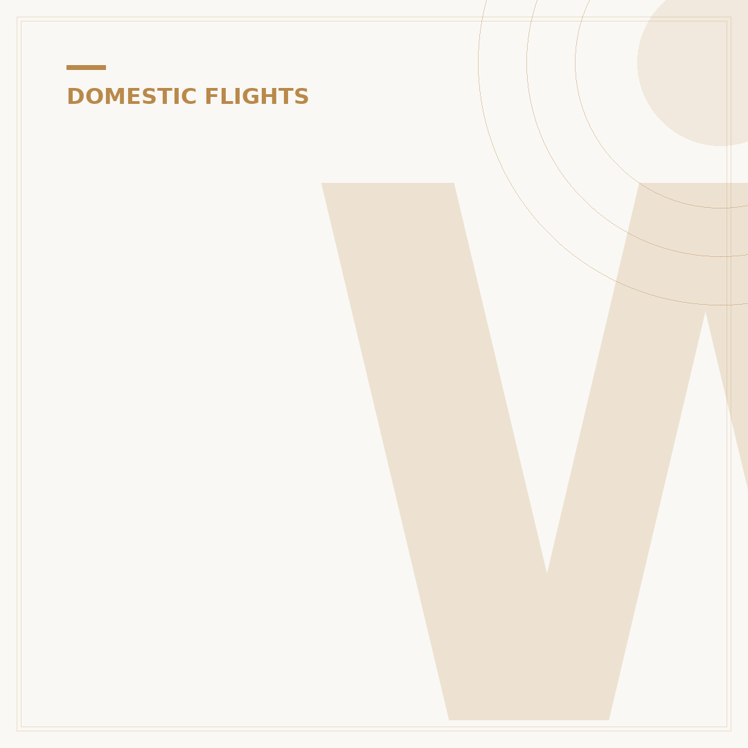 What Do I Need to Take a Domestic Flight?