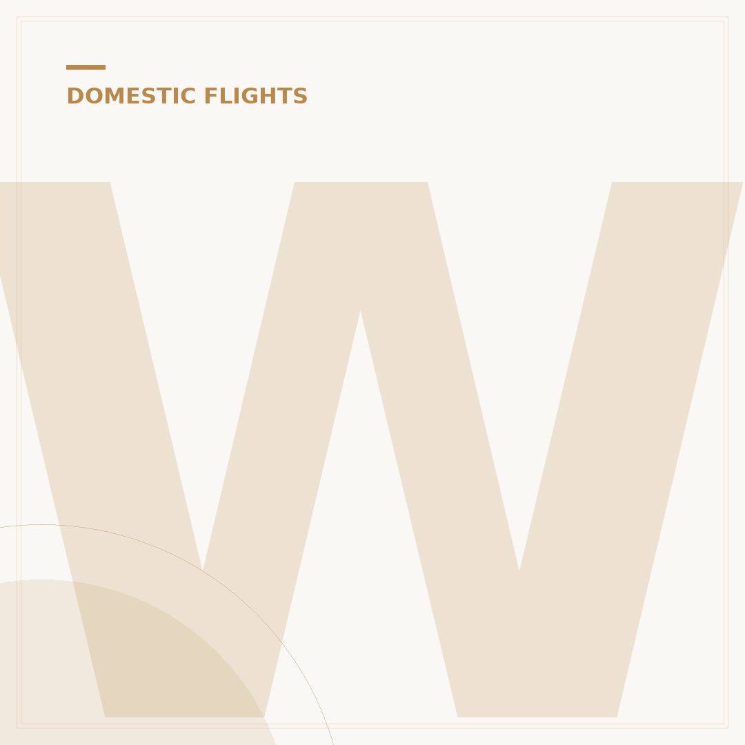 What Is Needed for Domestic Flights?