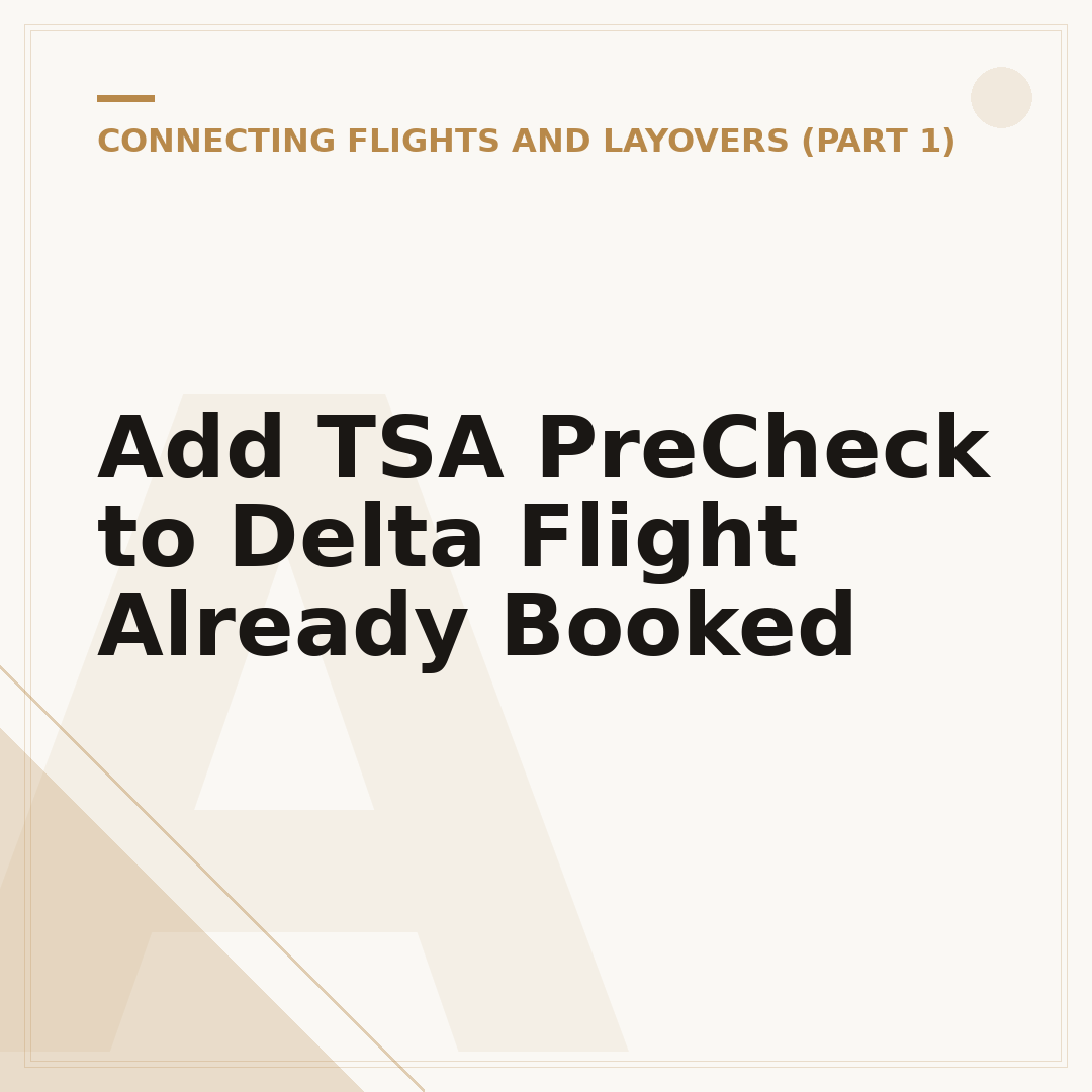 Add TSA PreCheck to Delta Flight Already Booked