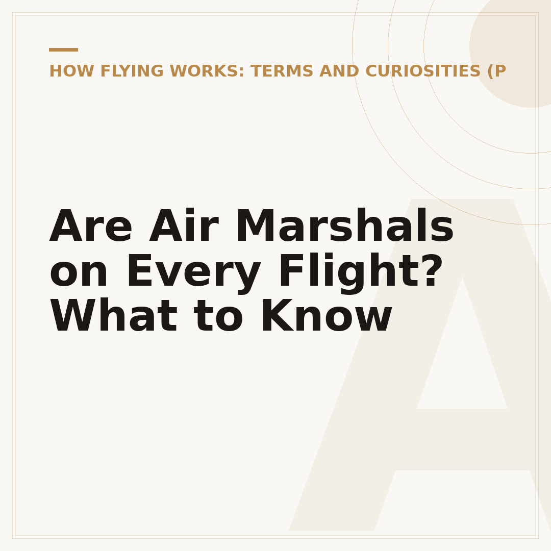 Are Air Marshals on Every Flight? What to Know