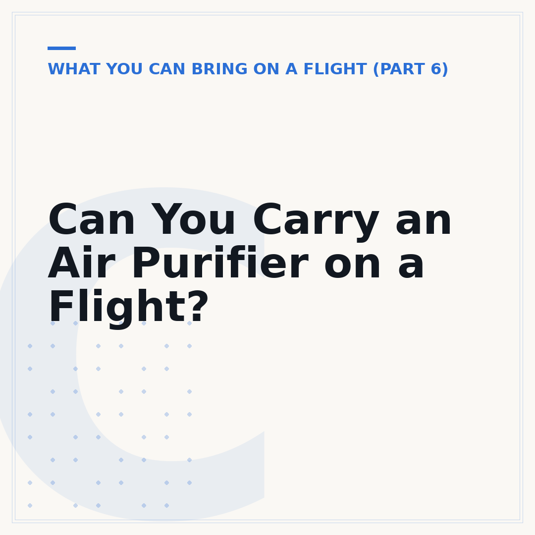 Can You Carry an Air Purifier on a Flight?