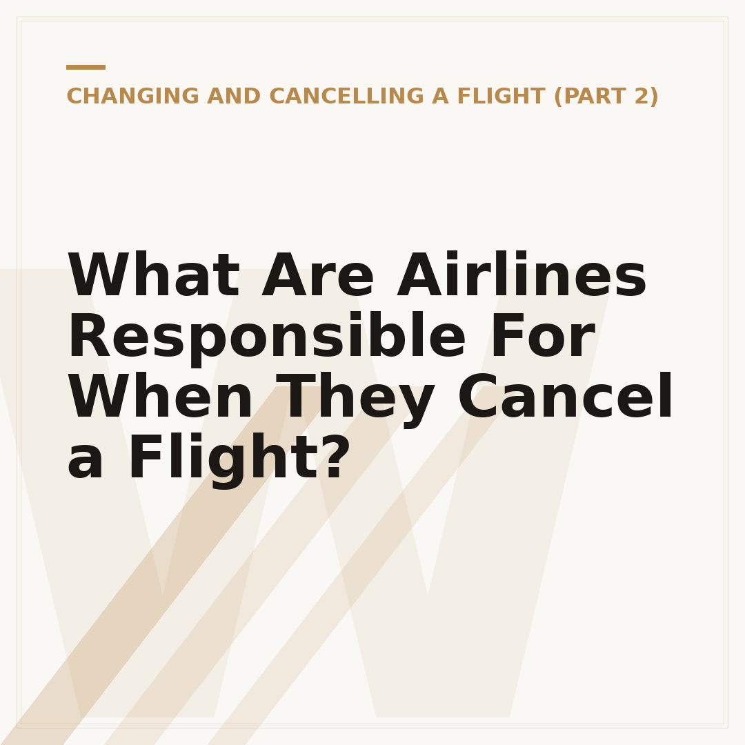 What Are Airlines Responsible For When They Cancel a Flight?