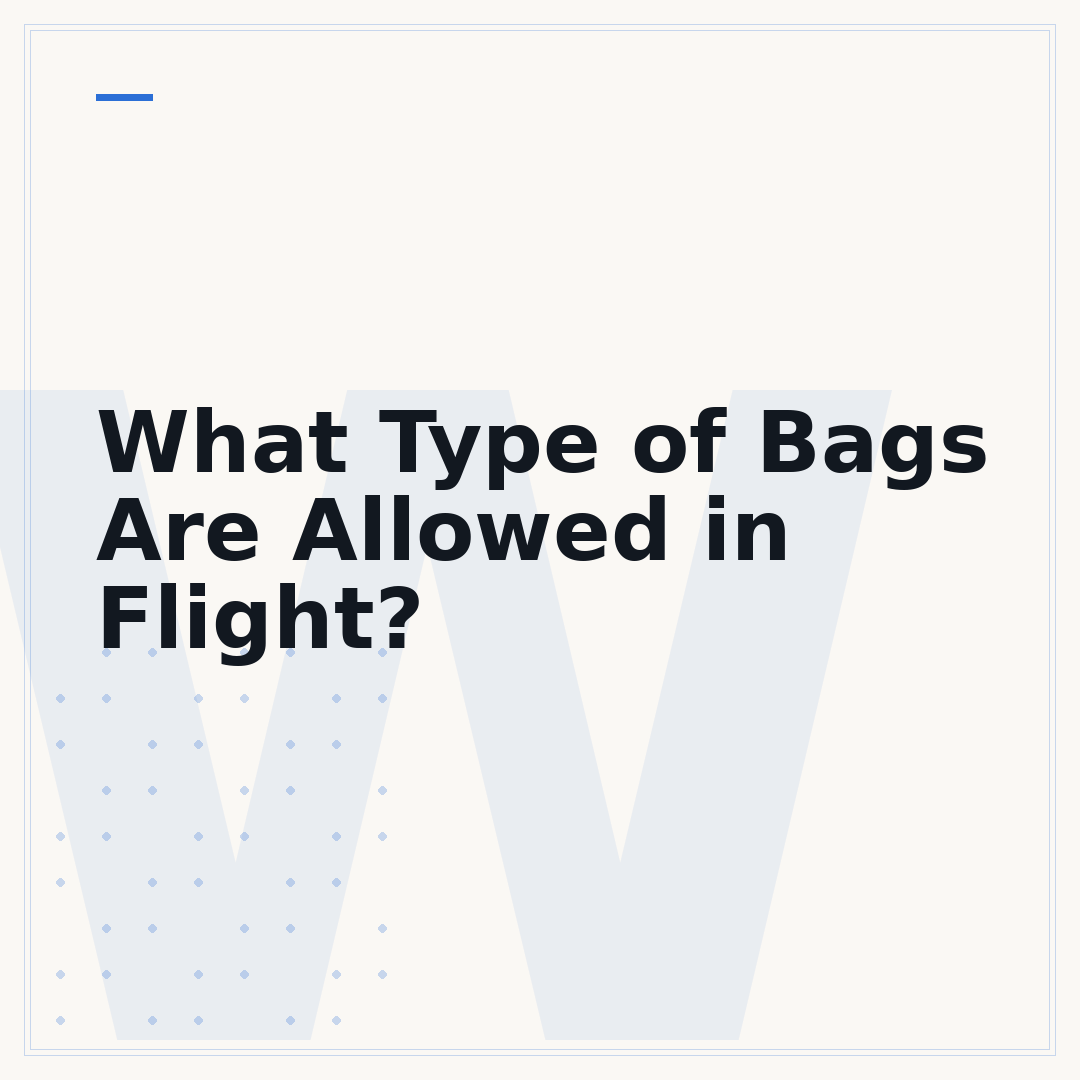 What Type of Bags Are Allowed in Flight?