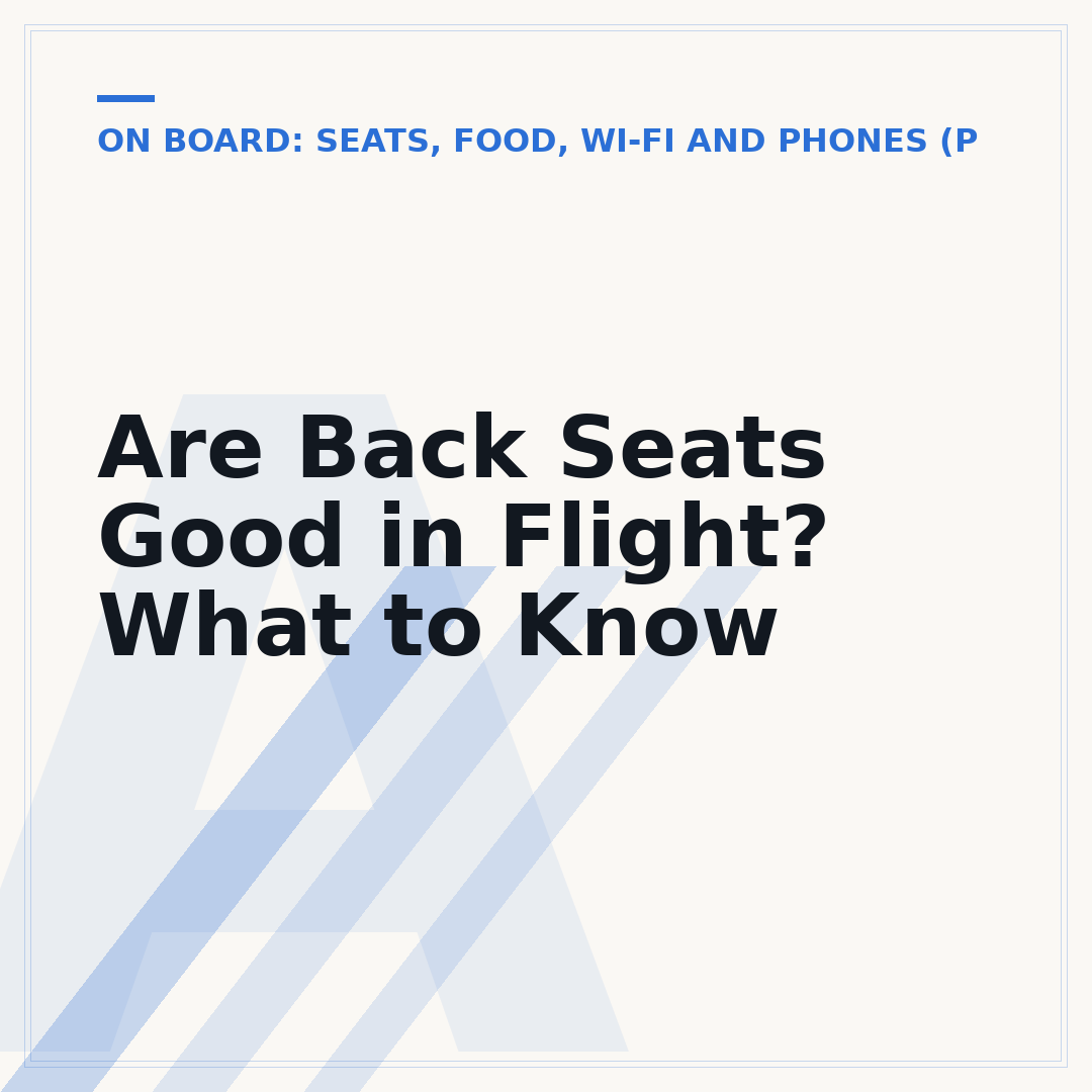 Are Back Seats Good in Flight? What to Know