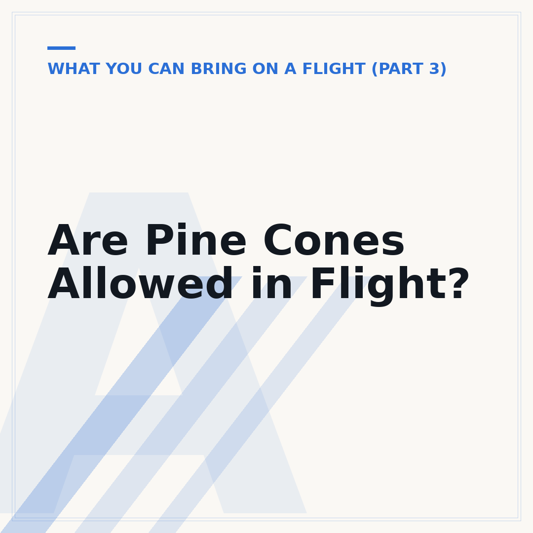 Are Pine Cones Allowed in Flight?
