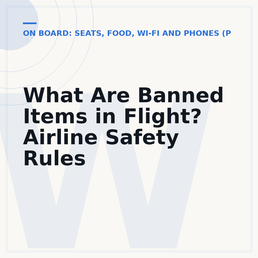 What Are Banned Items in Flight? Airline Safety Rules