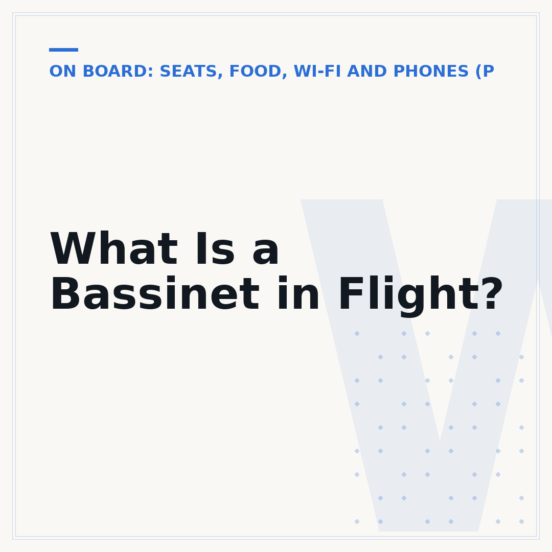 What Is a Bassinet in Flight?