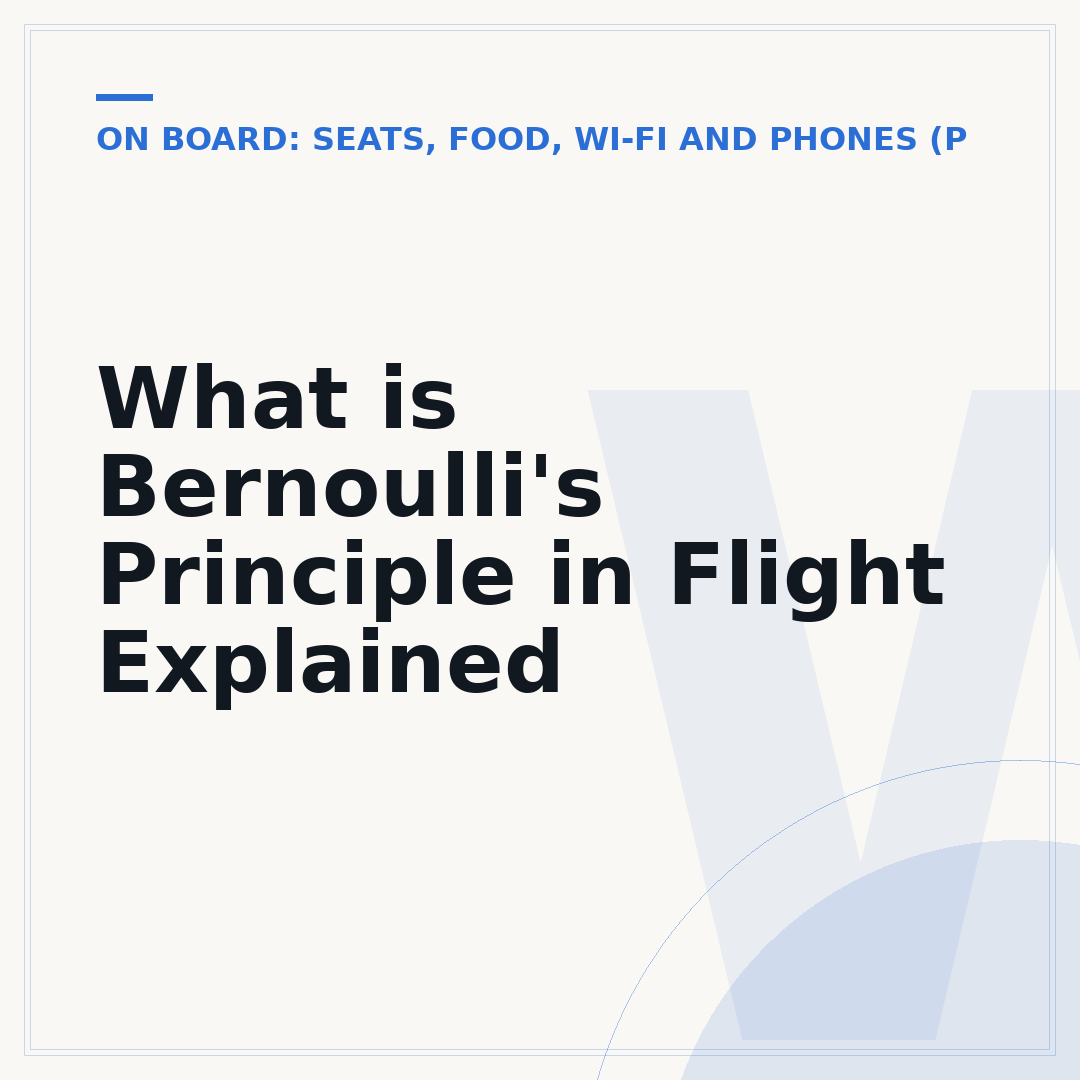 What is Bernoulli's Principle in Flight Explained