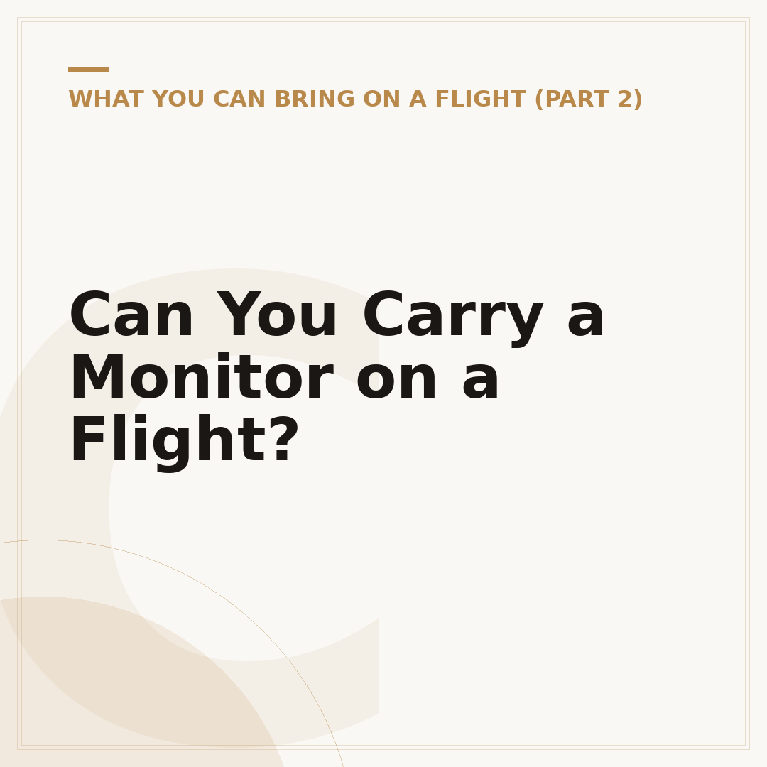 Can You Carry a Monitor on a Flight?