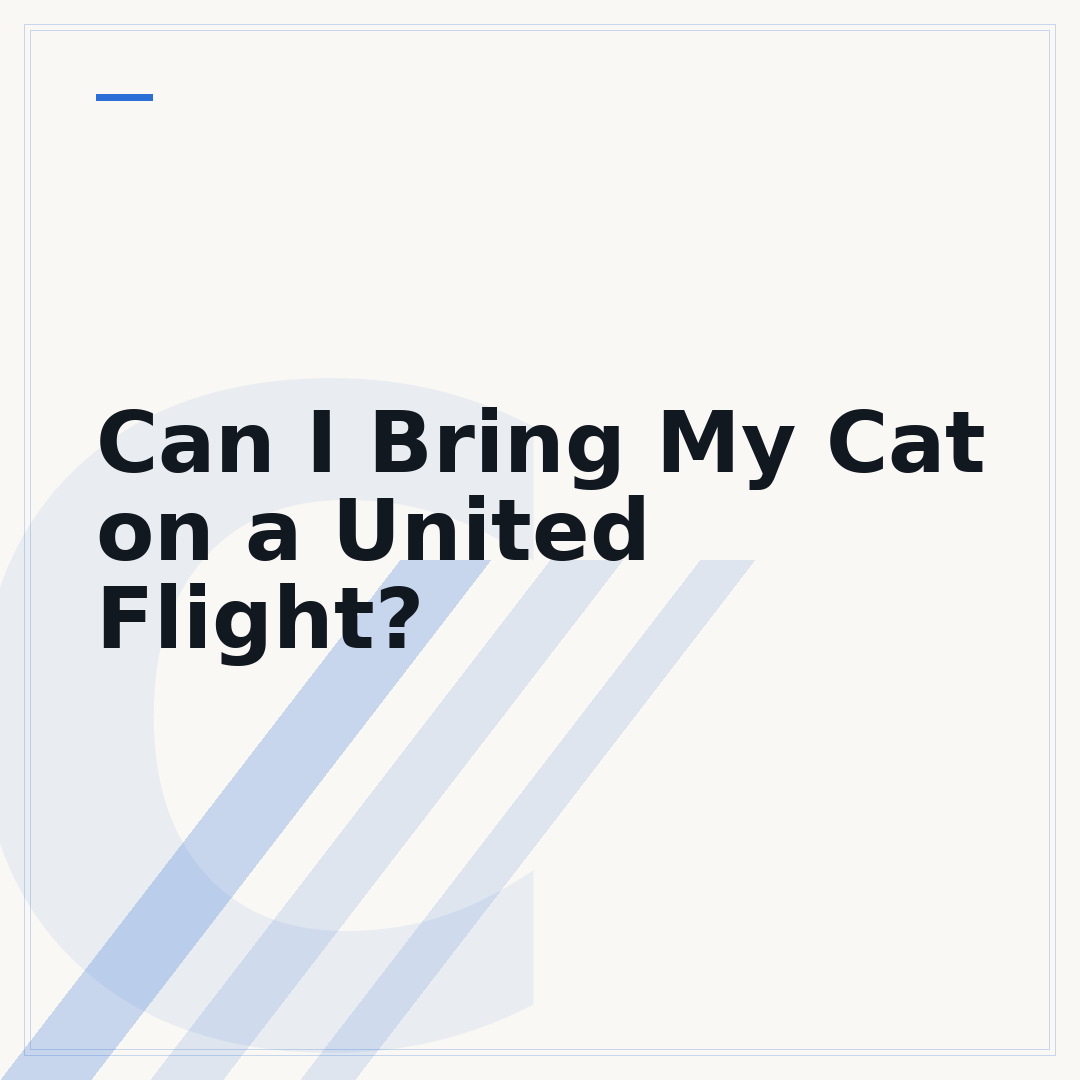 Can I Bring My Cat on a United Flight?