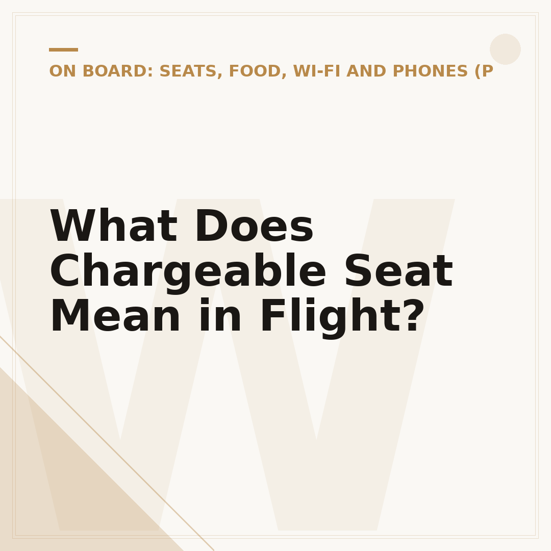 What Does Chargeable Seat Mean in Flight?