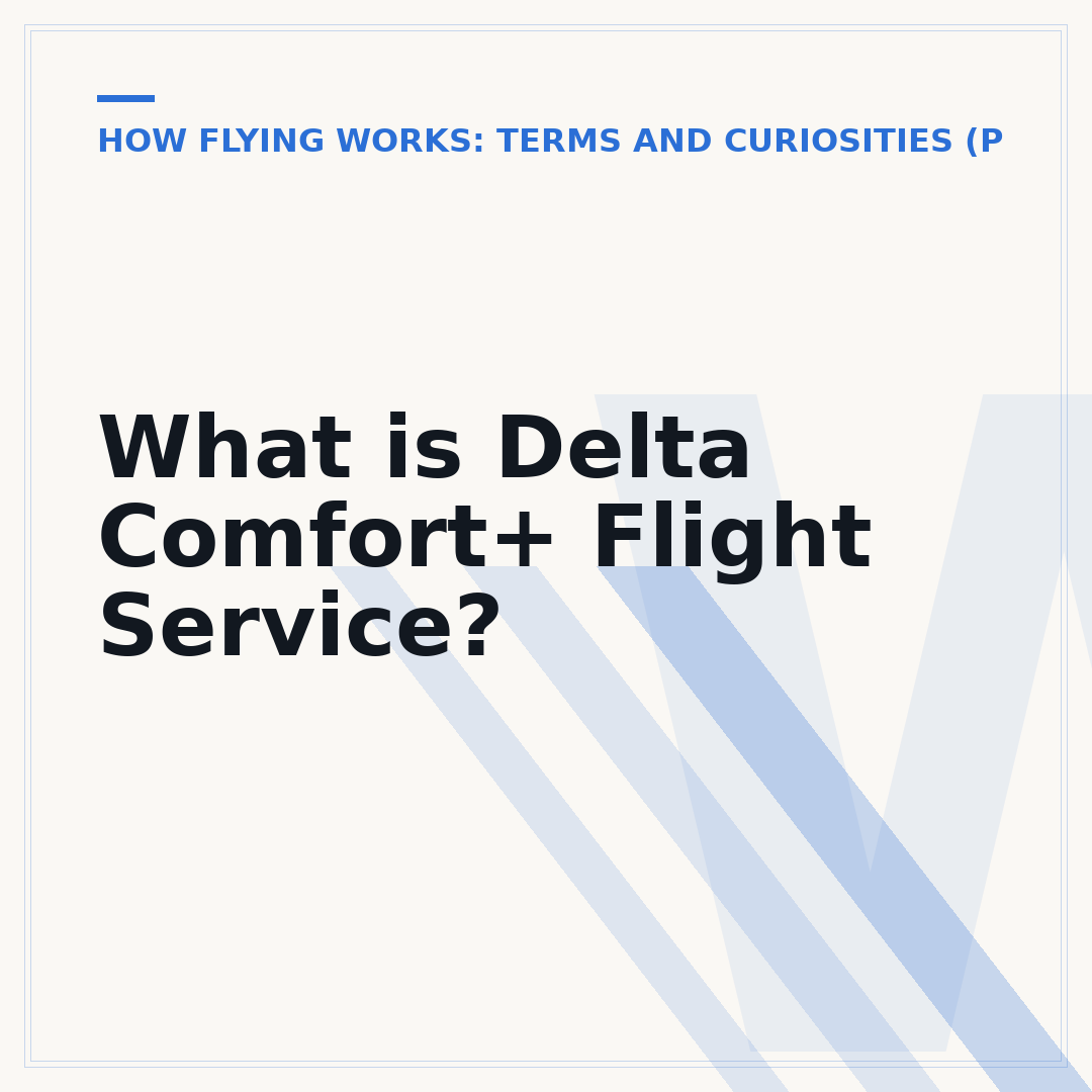 What is Delta Comfort+ Flight Service?