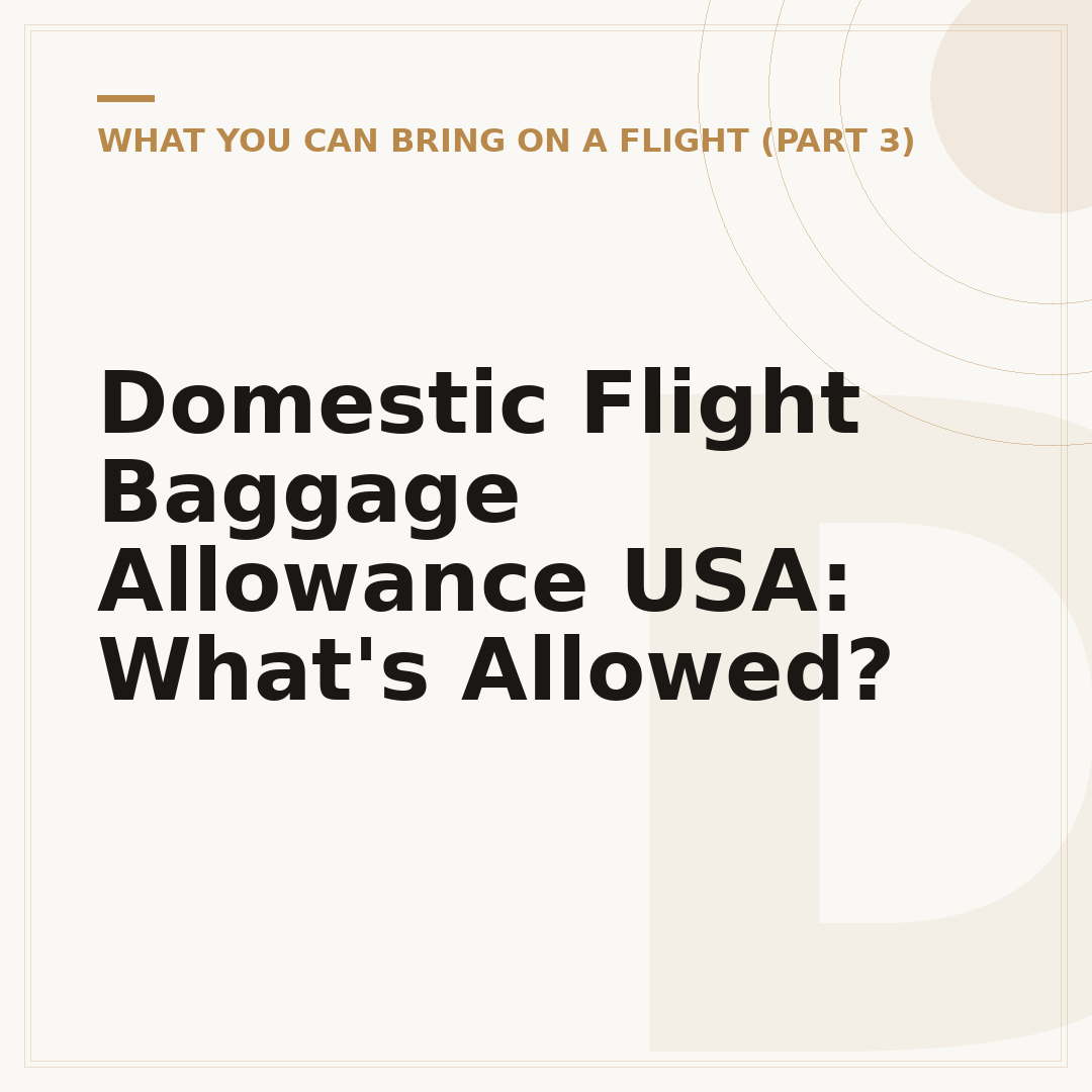 Domestic Flight Baggage Allowance USA: What's Allowed?