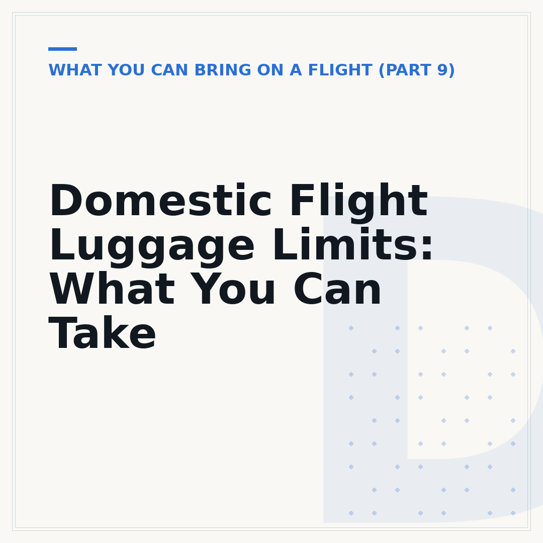 Domestic Flight Luggage Limits: What You Can Take