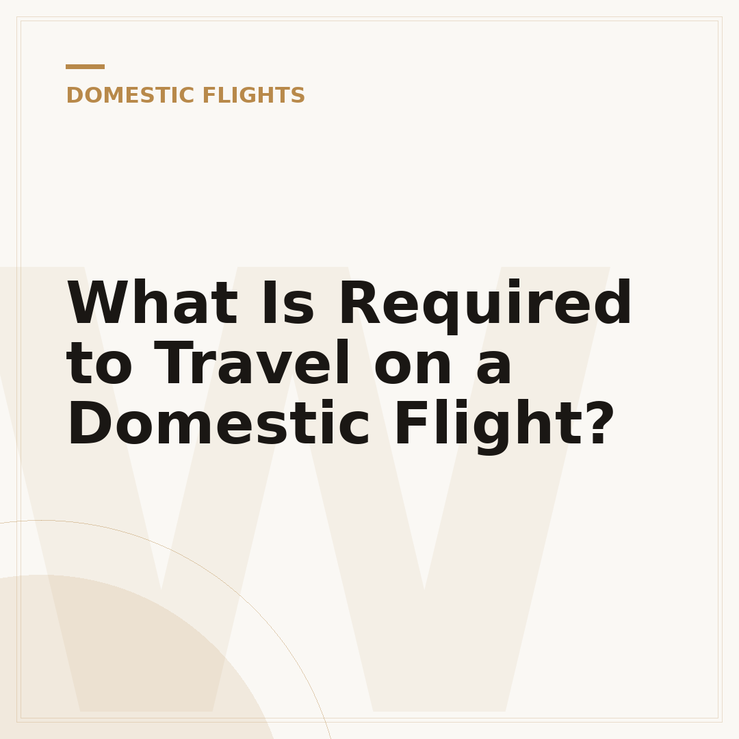 What Is Required to Travel on a Domestic Flight?