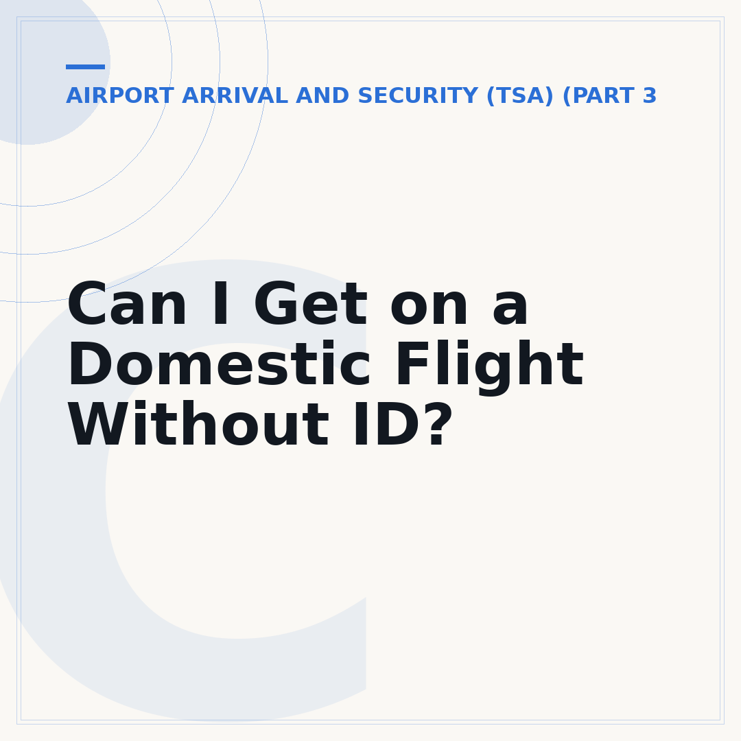 Can I Get on a Domestic Flight Without ID?