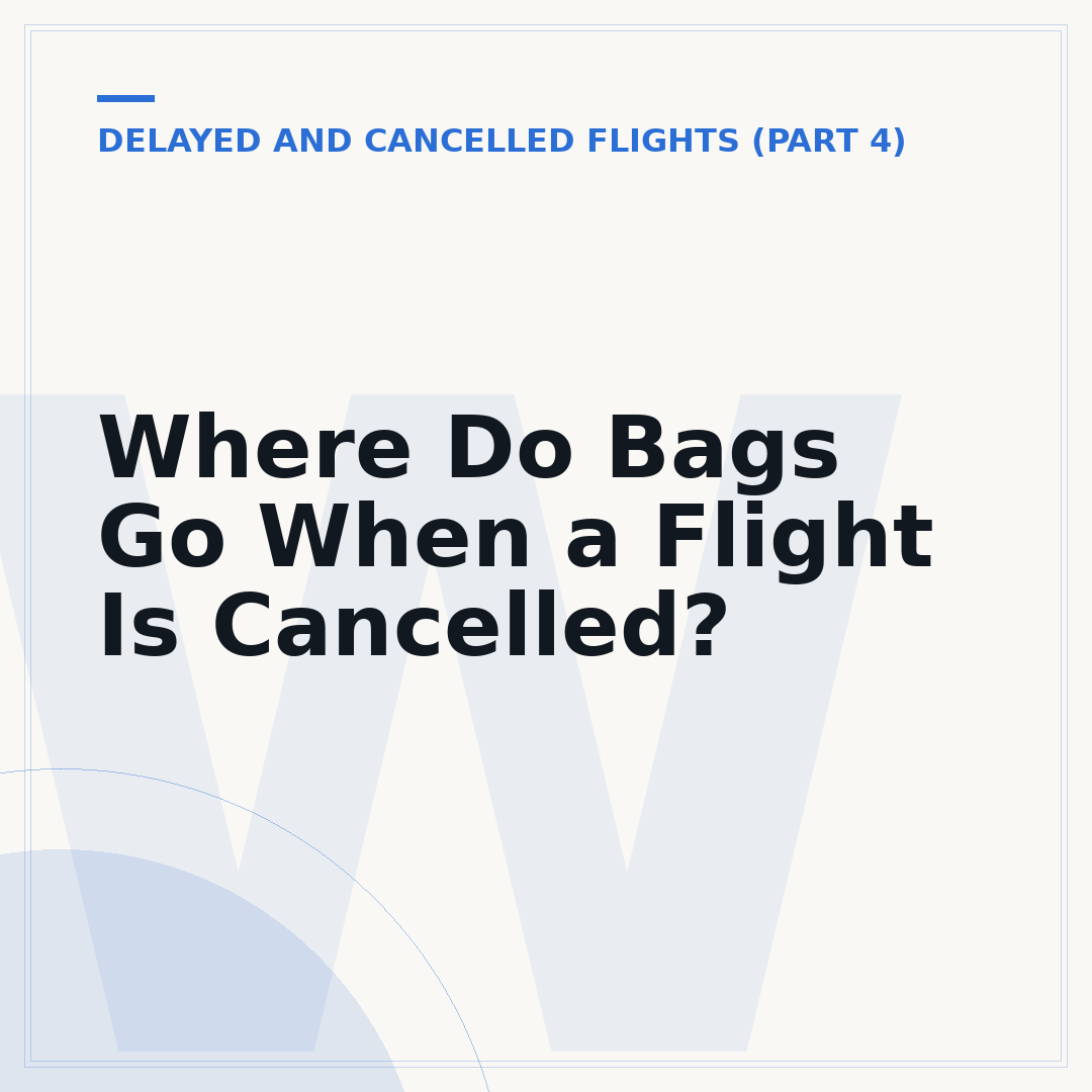 Where Do Bags Go When a Flight Is Cancelled?