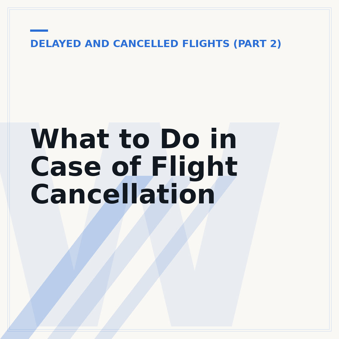 What to Do in Case of Flight Cancellation