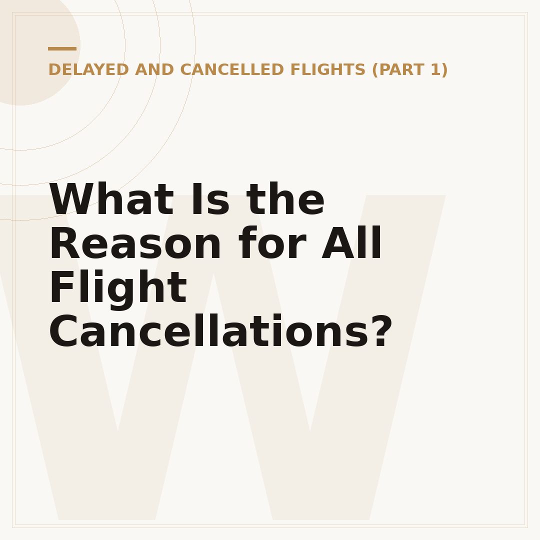 What Is the Reason for All Flight Cancellations?