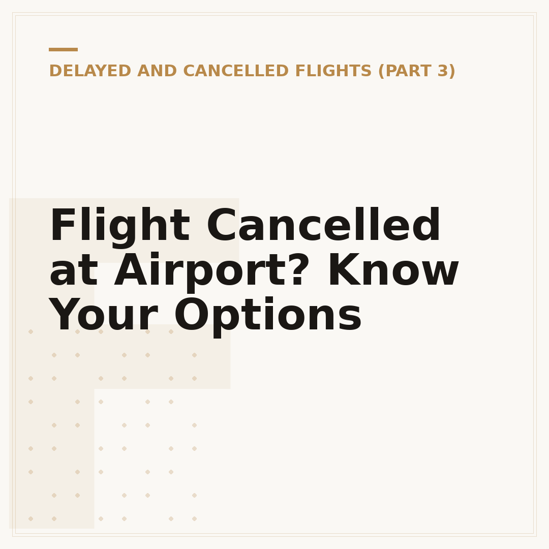 Flight Cancelled at Airport? Know Your Options