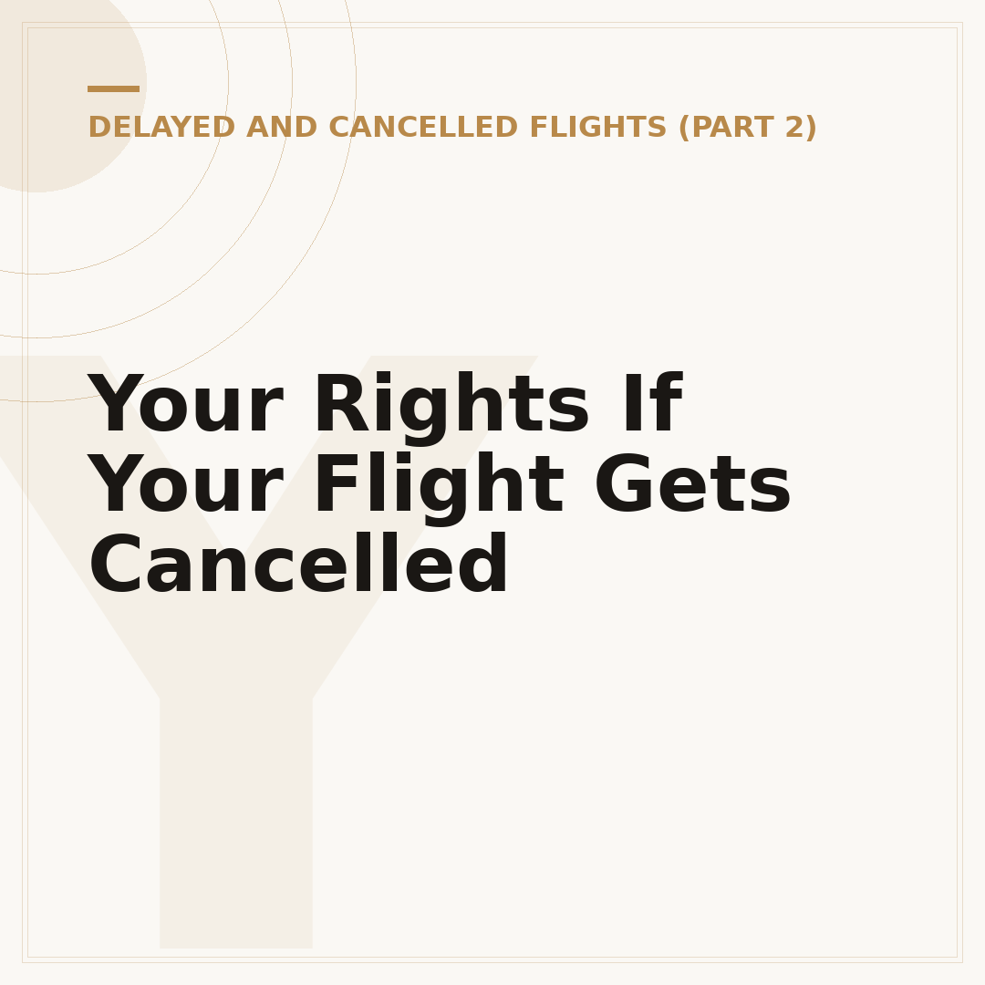 Your Rights If Your Flight Gets Cancelled