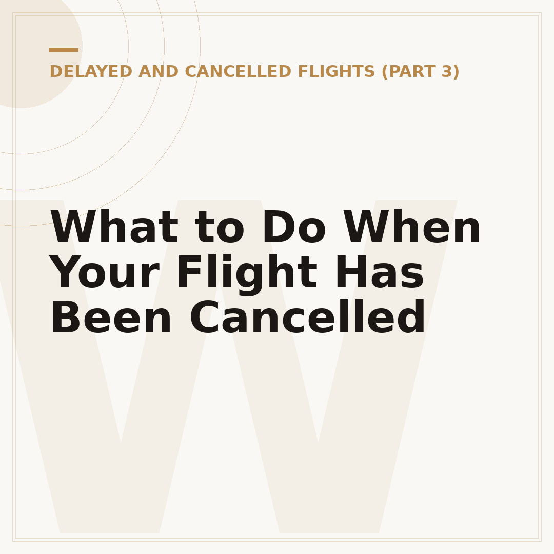 What to Do When Your Flight Has Been Cancelled