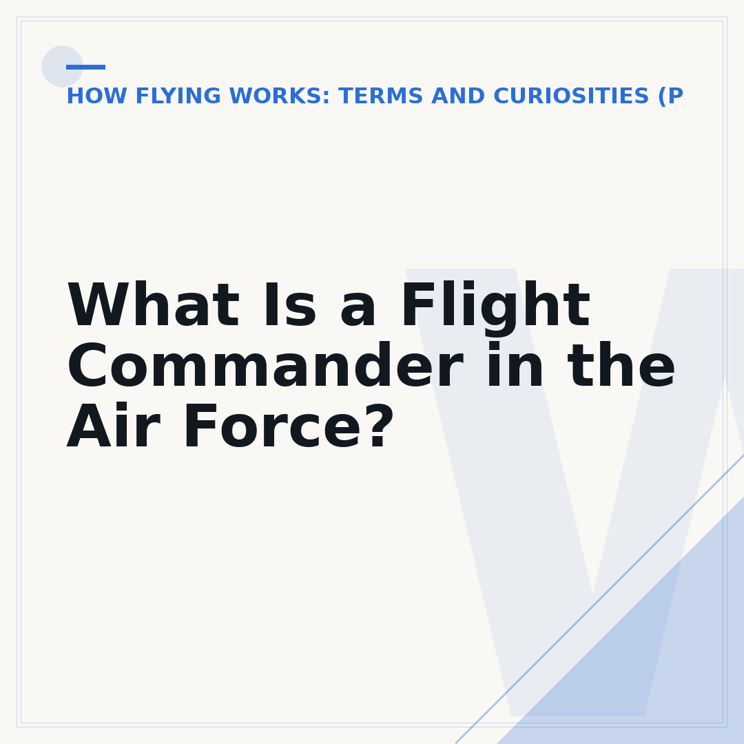 What Is a Flight Commander in the Air Force?
