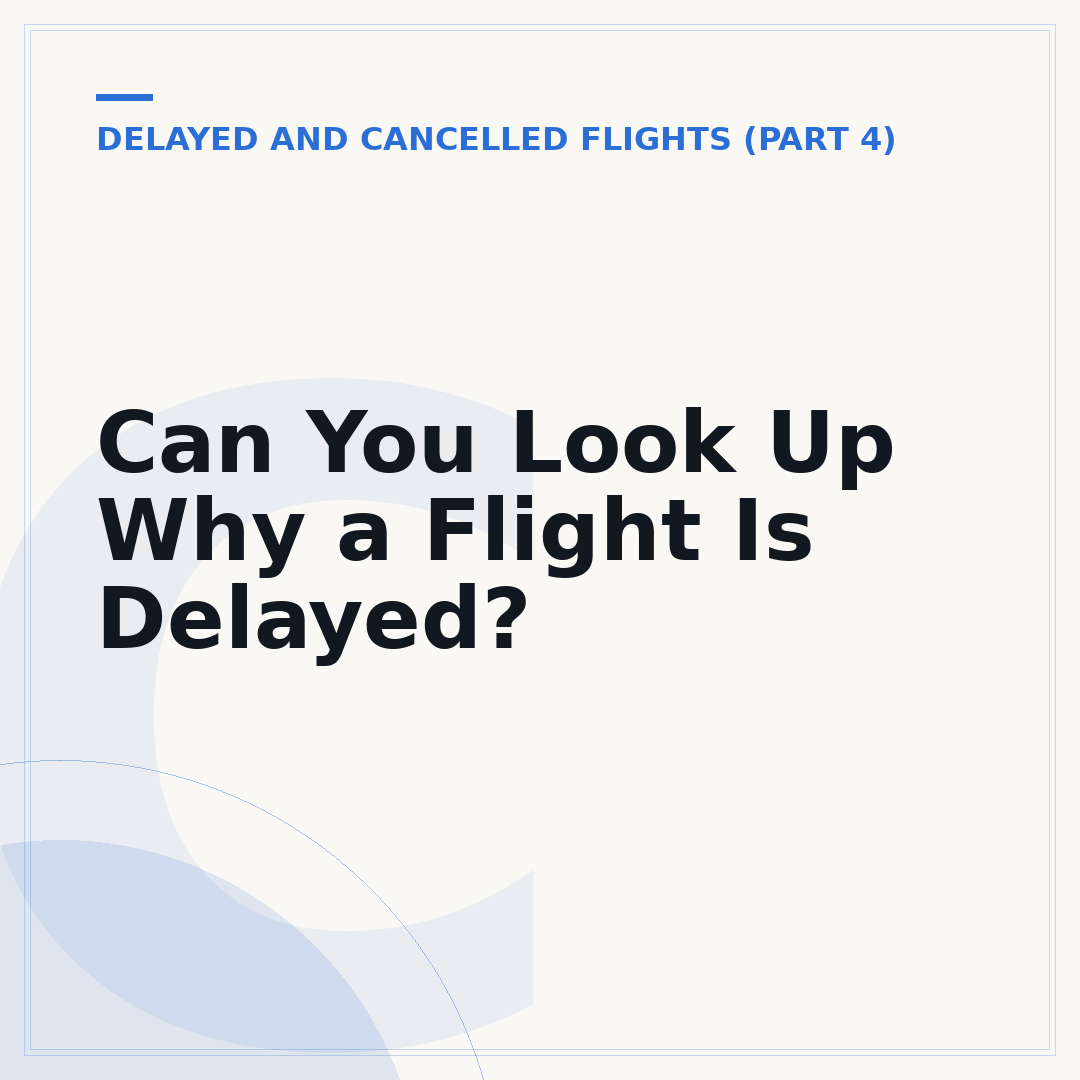 Can You Look Up Why a Flight Is Delayed?
