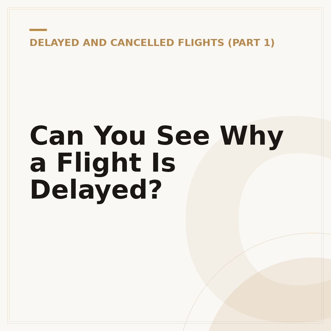 Can You See Why a Flight Is Delayed?