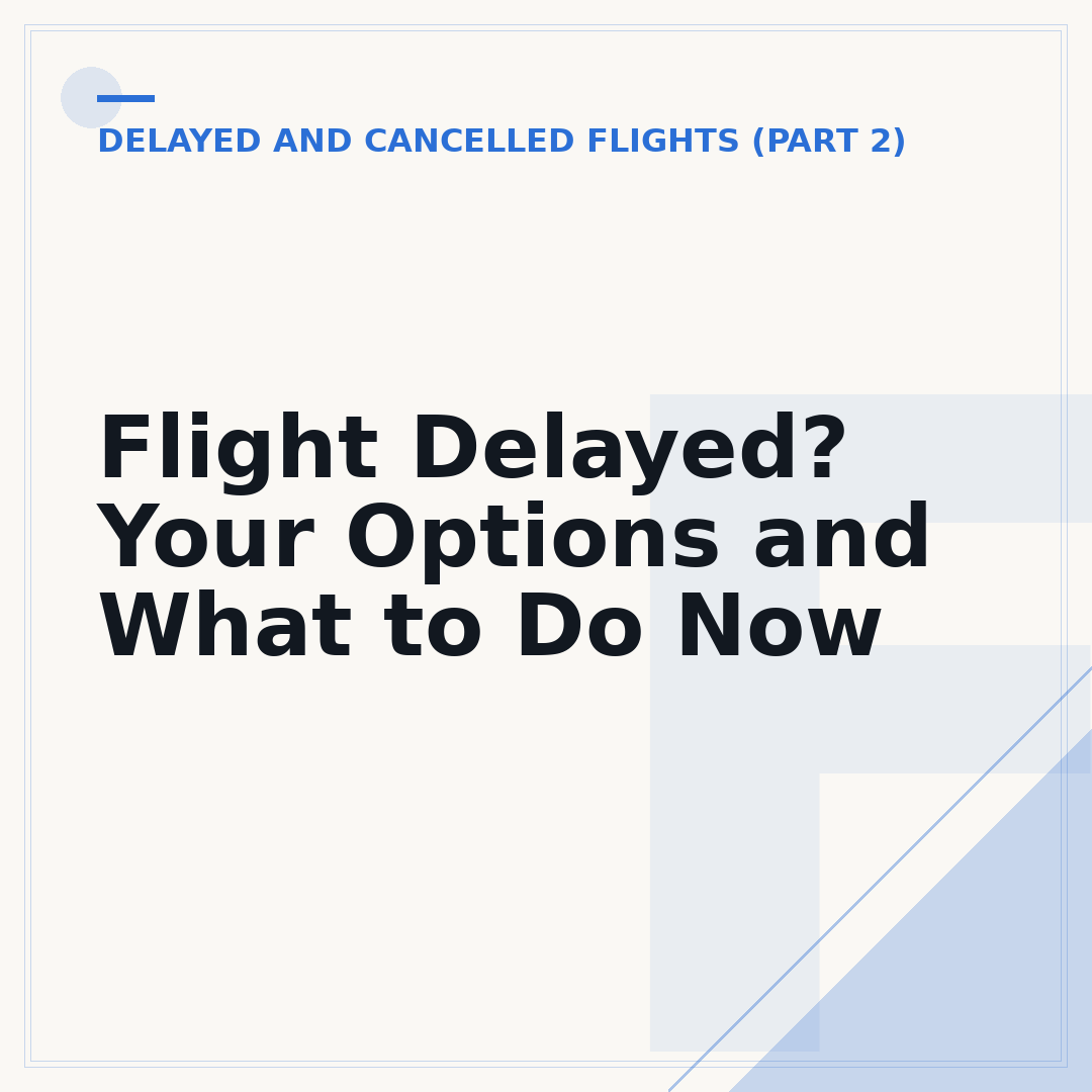 Flight Delayed? Your Options and What to Do Now