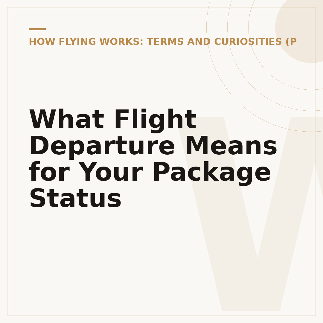 What Flight Departure Means for Your Package Status