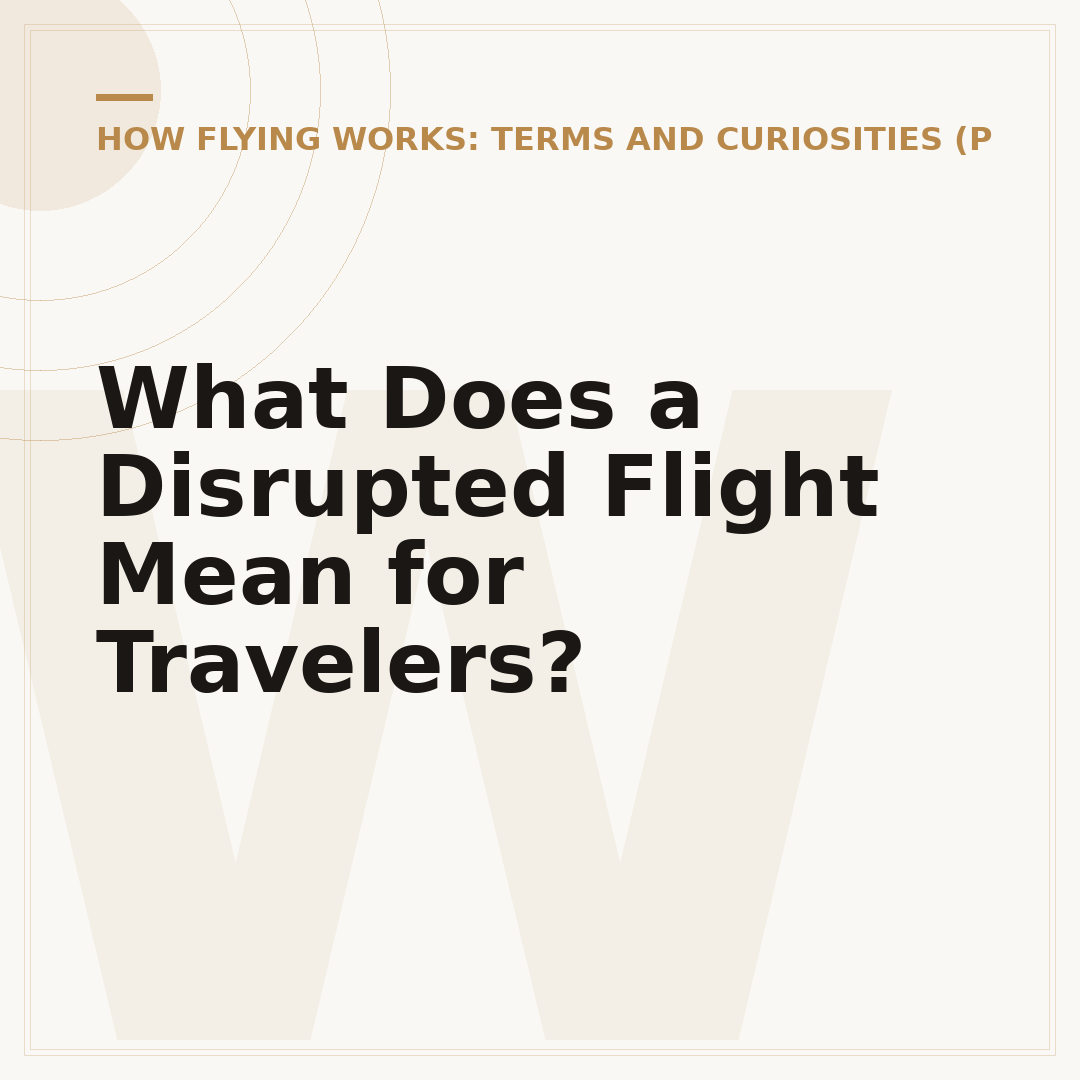 What Does a Disrupted Flight Mean for Travelers?