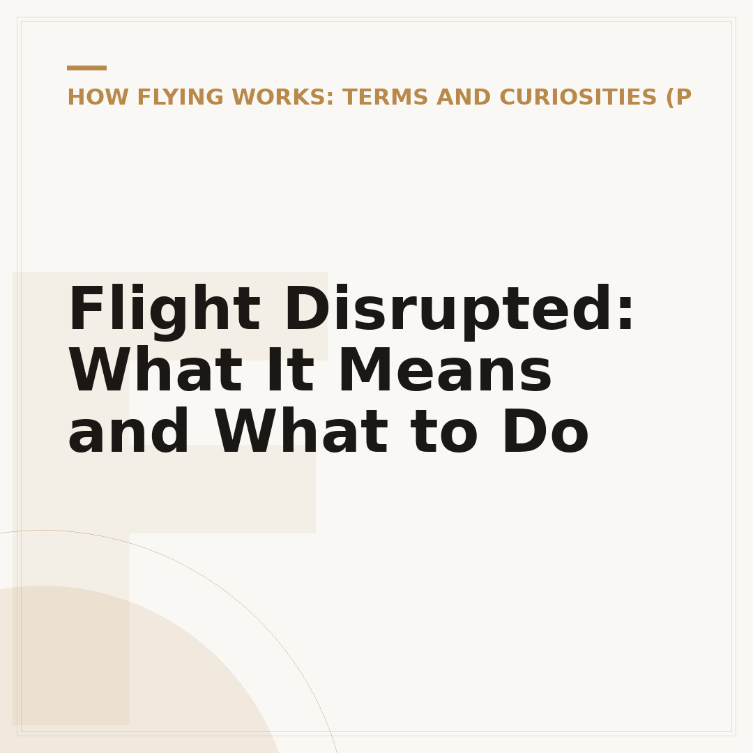 Flight Disrupted: What It Means and What to Do