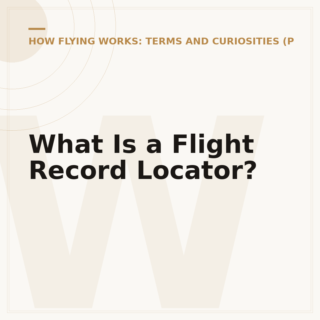 What Is a Flight Record Locator?